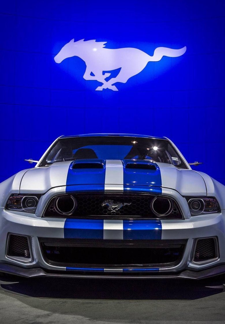 Ford Shelby gt500