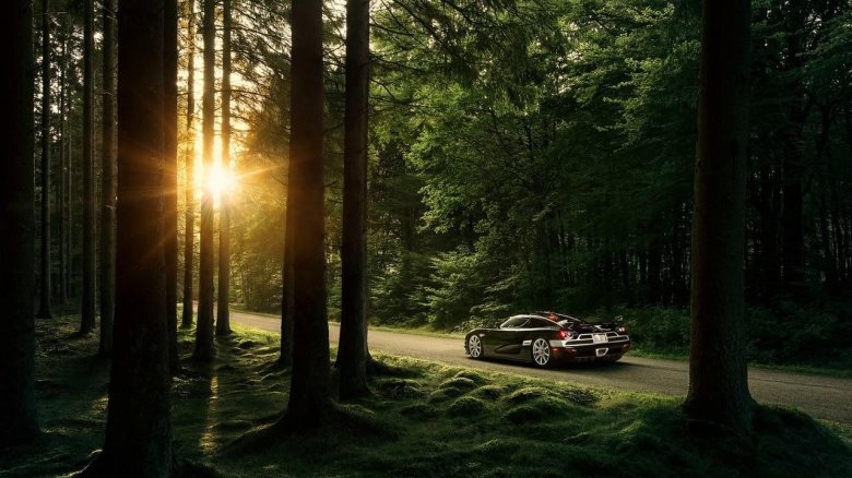 Машина на природе