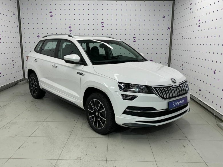 Skoda karoq i