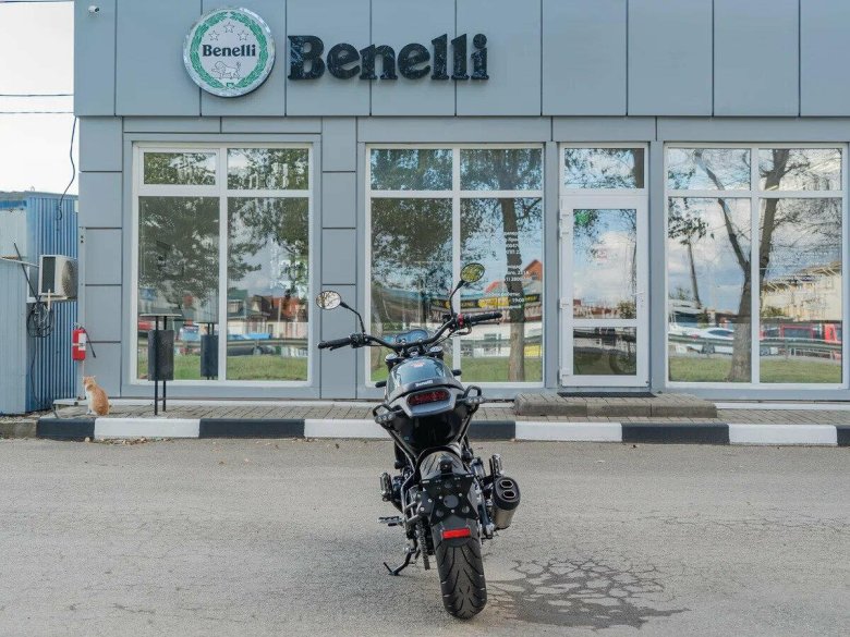 Benelli leoncino 500