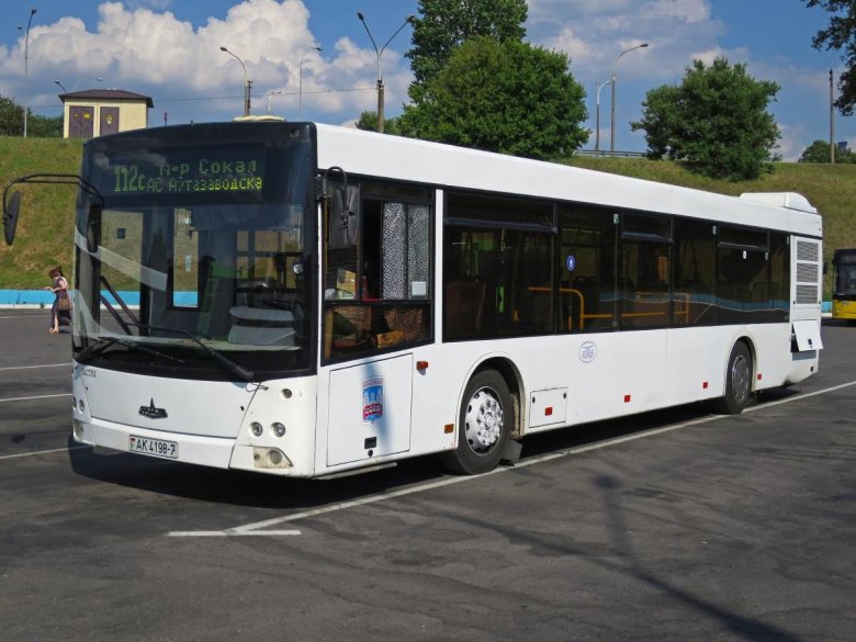 МАЗ-203 автобус