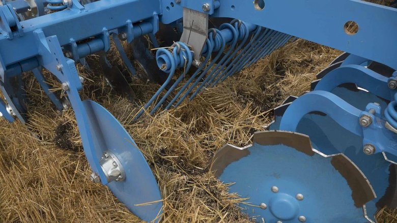 Лемкен Рубин 10