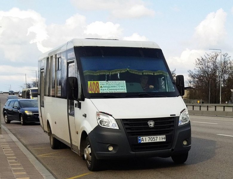 Рута 22 синяя