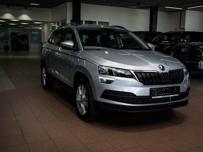 Škoda Karoq серый