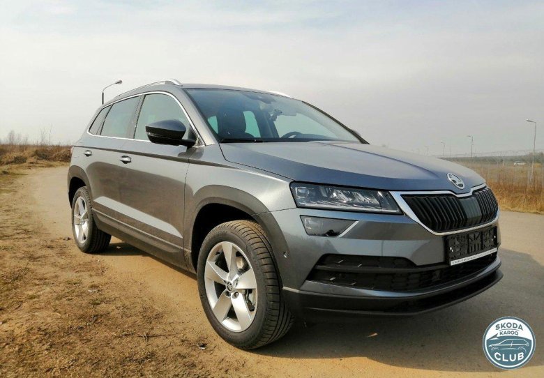 Skoda Karoq серый