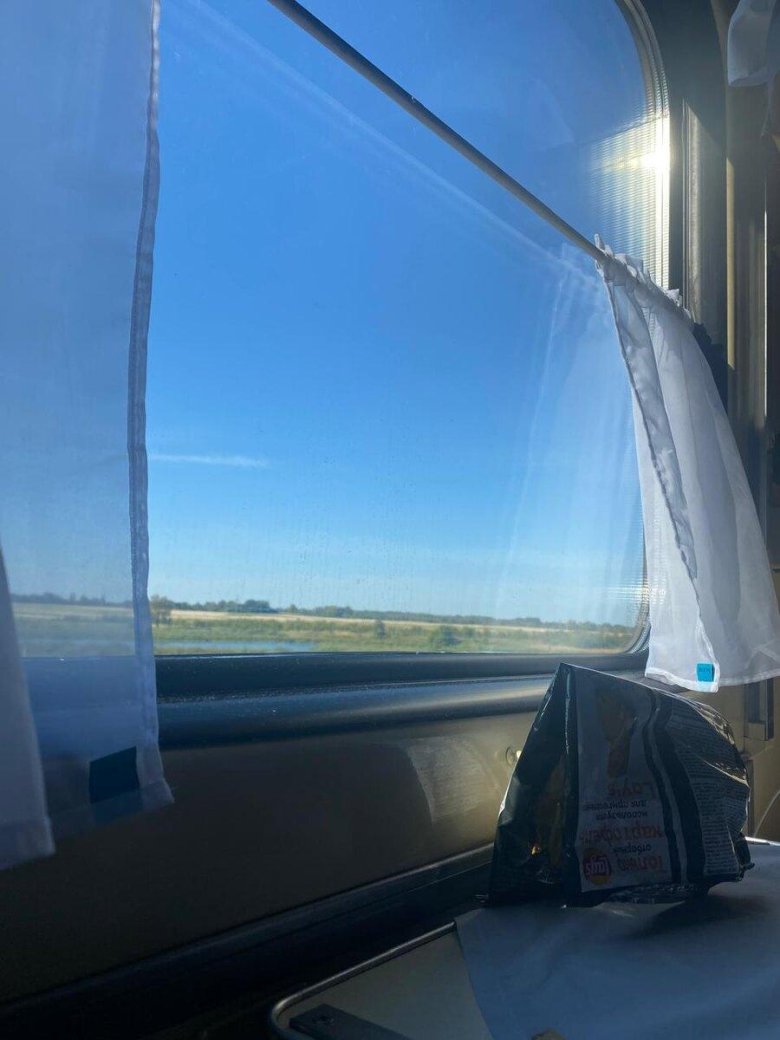 Поезд вид из окна