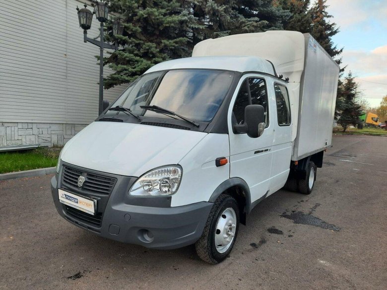 Газель близко