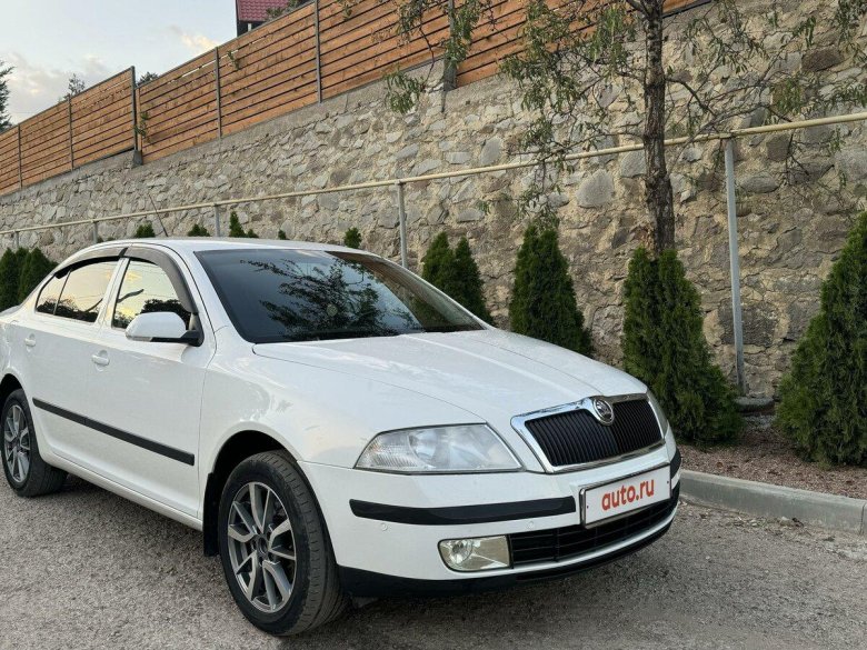 Шкода октавия 2006 лифтбек