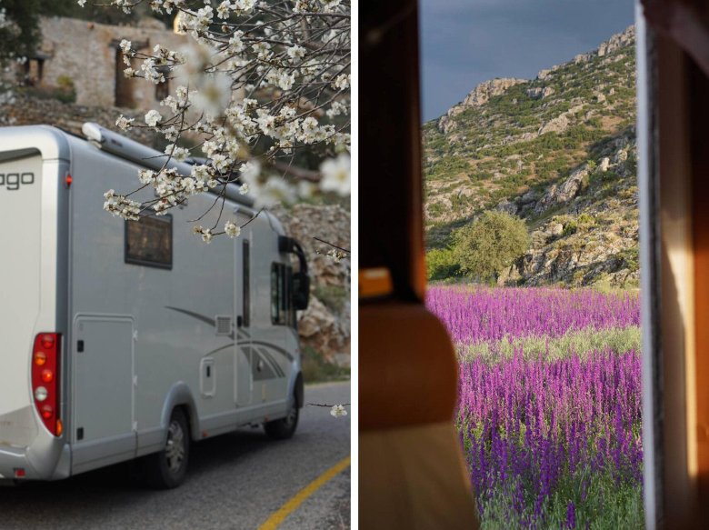 Автодом - Newell coach