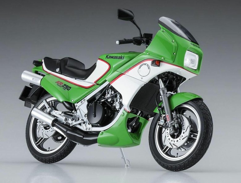 Kawasaki kr250