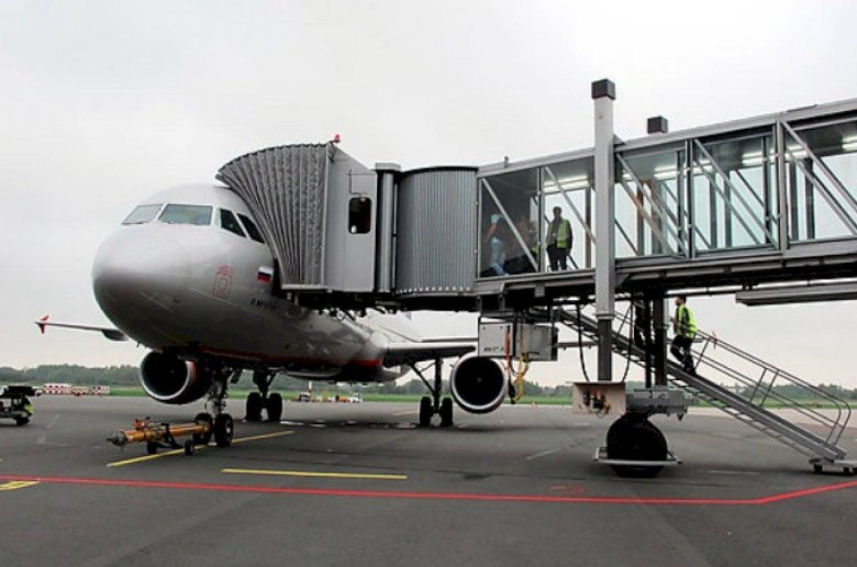 Телетрап в аэропорту Домодедово