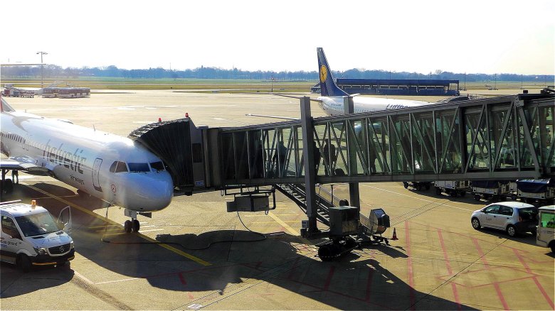 Телетрап в аэропорту Домодедово