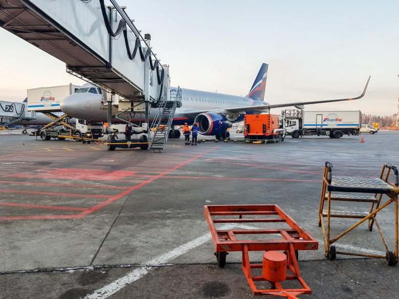 Телетрап в аэропорту Домодедово