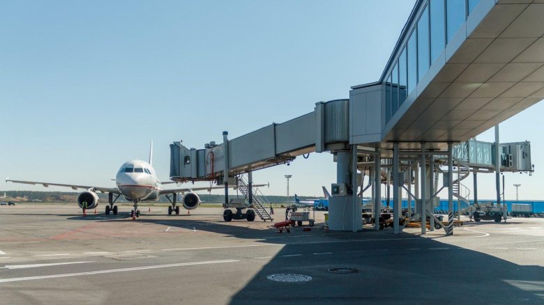 Телетрап в аэропорту Домодедово