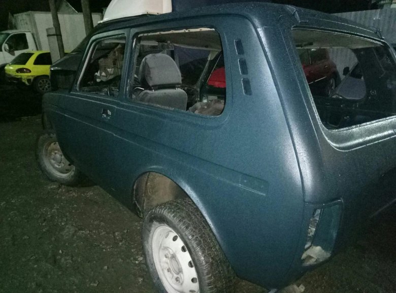 Нива мурена 377