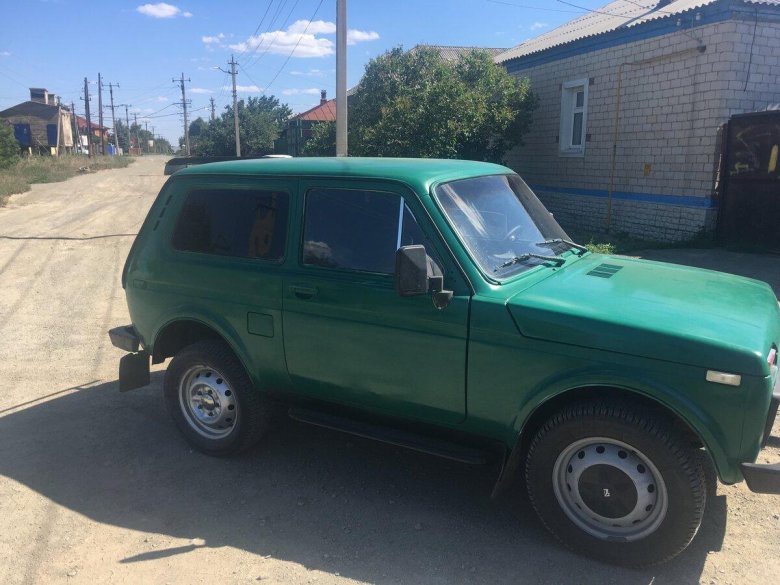 Нива цвет зеленый сад