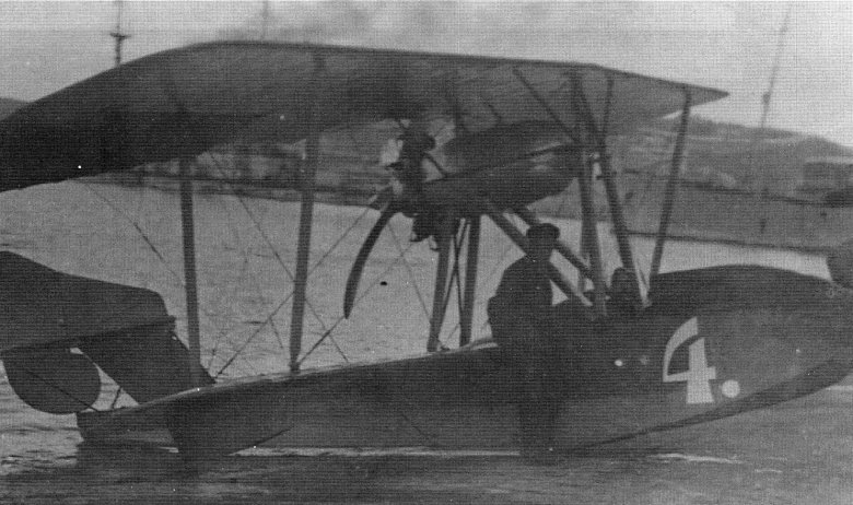 Гидросамолет м-11 Григоровича