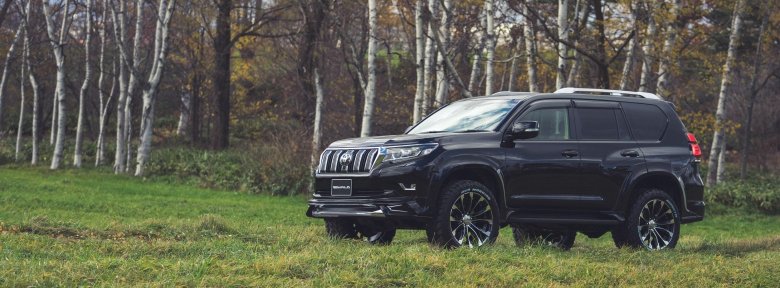 Toyota Land Cruiser Prado Wald