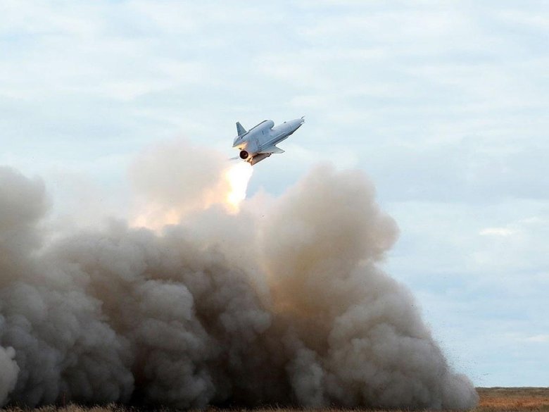 БПЛА Стриж ту-141