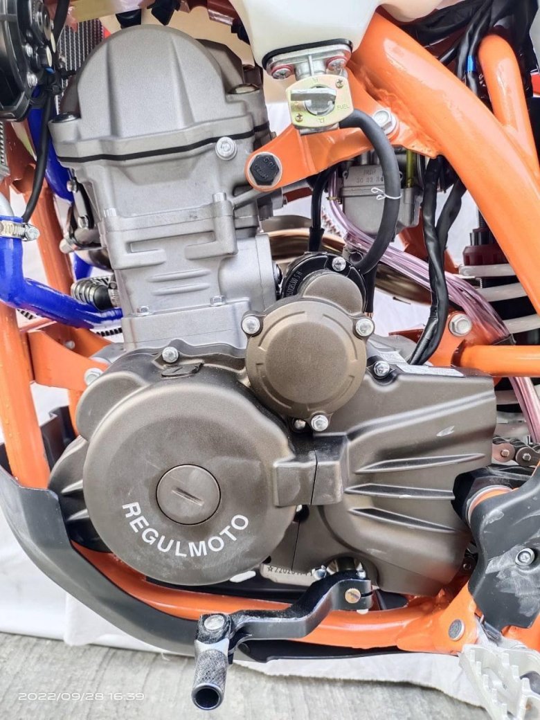 Регулмото Холешот 300