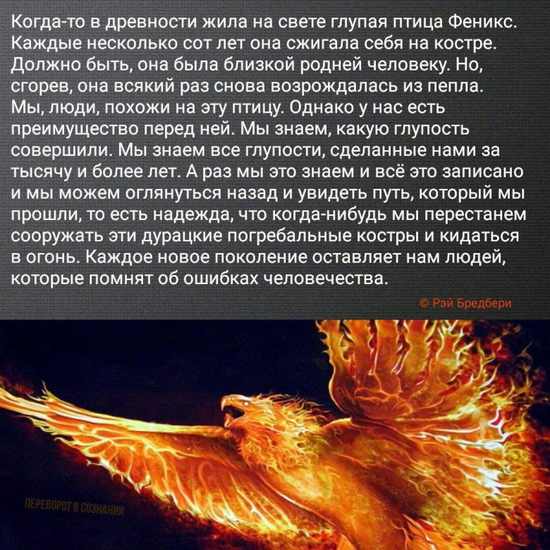 Птица Феникс Возрождение