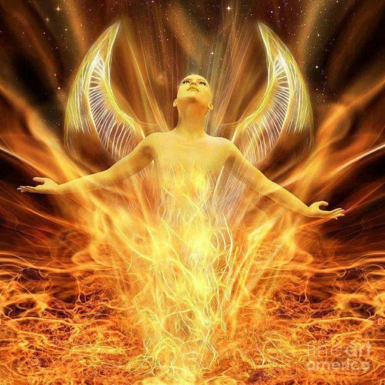 Феникс Возрождение Феникс Возрождение