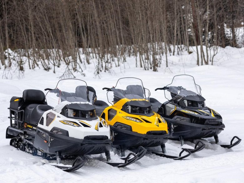 Снегоход стелс викинг 800