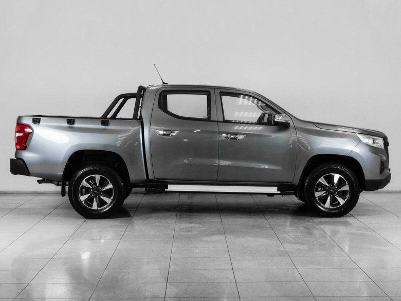 Серый чанган