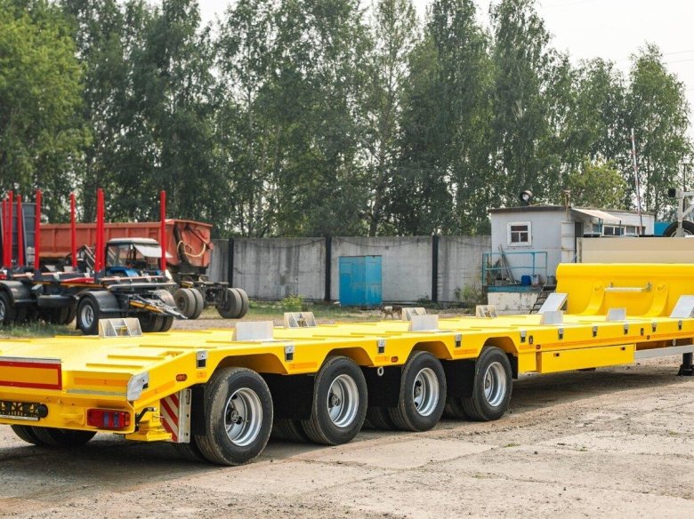 Трал 2024 года