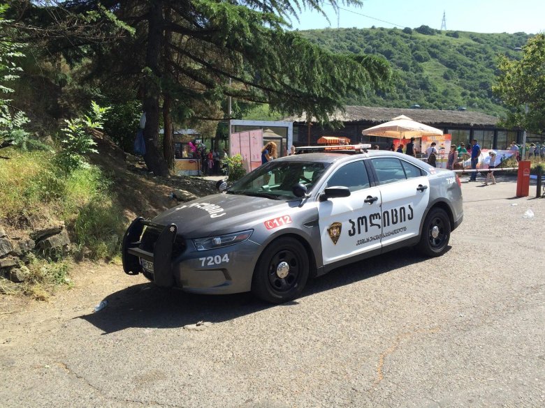 Georgian police грузинская полиция