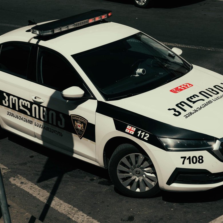 Патрульная полиция грузии
