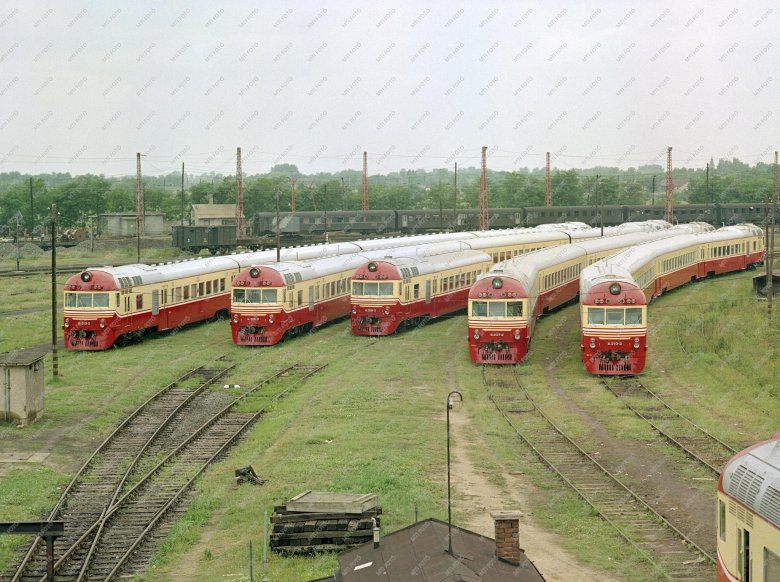 Дизель поезд др 1