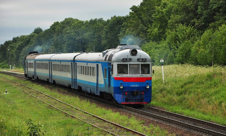 Дизель поезд д222