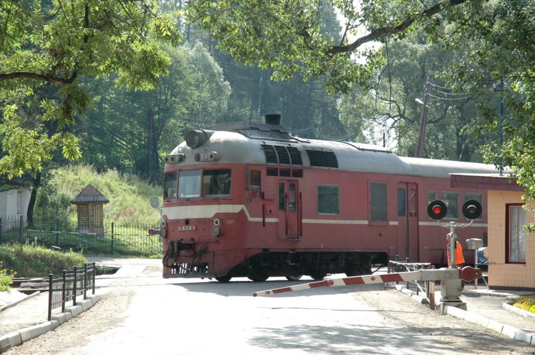 Дизель поезд д1 салон