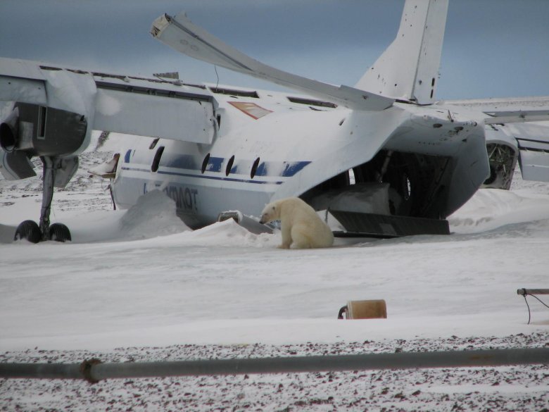 Ил-14 в Антарктиде