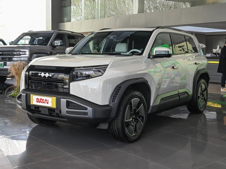 Внедорожник byd