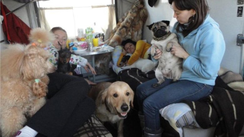 Вагоны для пассажиров с животными