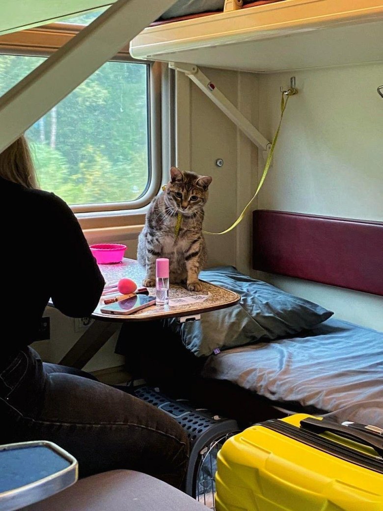 Еду в поезде