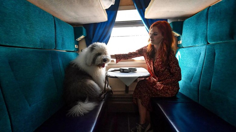 Вагон с животными