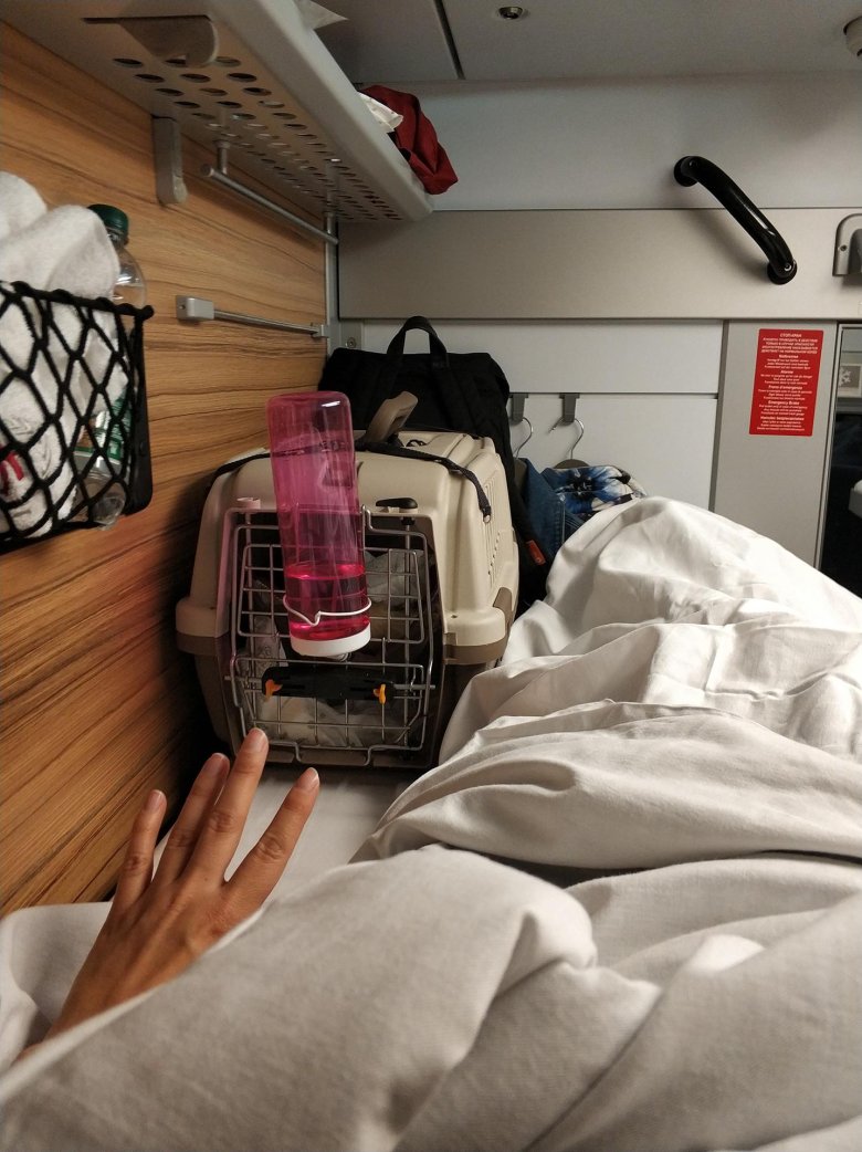 Вагоны для животных РЖД