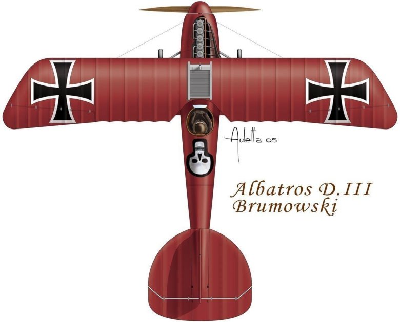 Albatros d.v