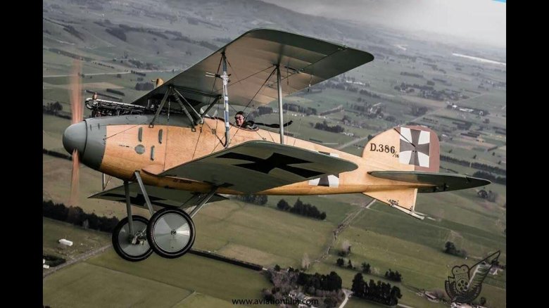 Альбатрос d 2