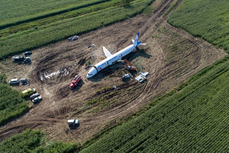 Уральские авиалинии кукурузное поле