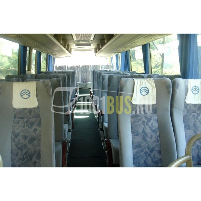 Автобус голден драгон