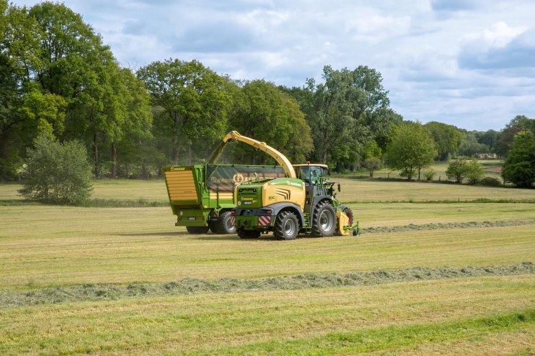 Растительность