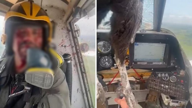 Пилот самолета