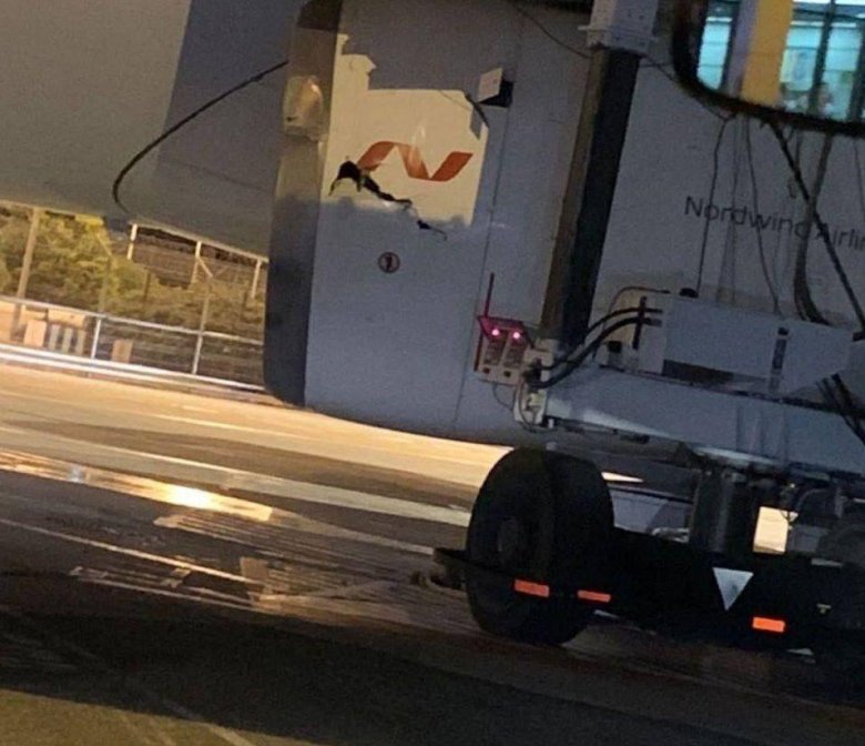 Телетрап в аэропорту