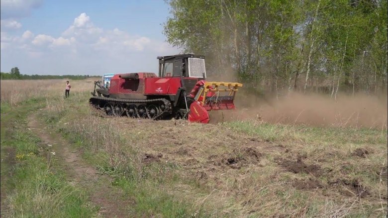 Растительность