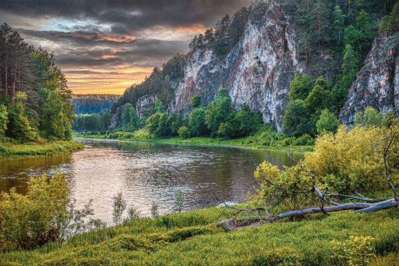 Фото на природе