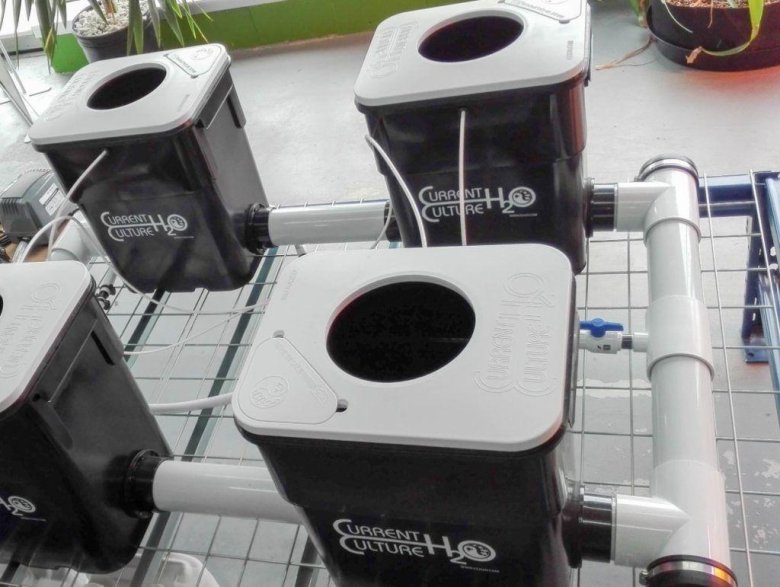 Recirculating Deep Water Culture